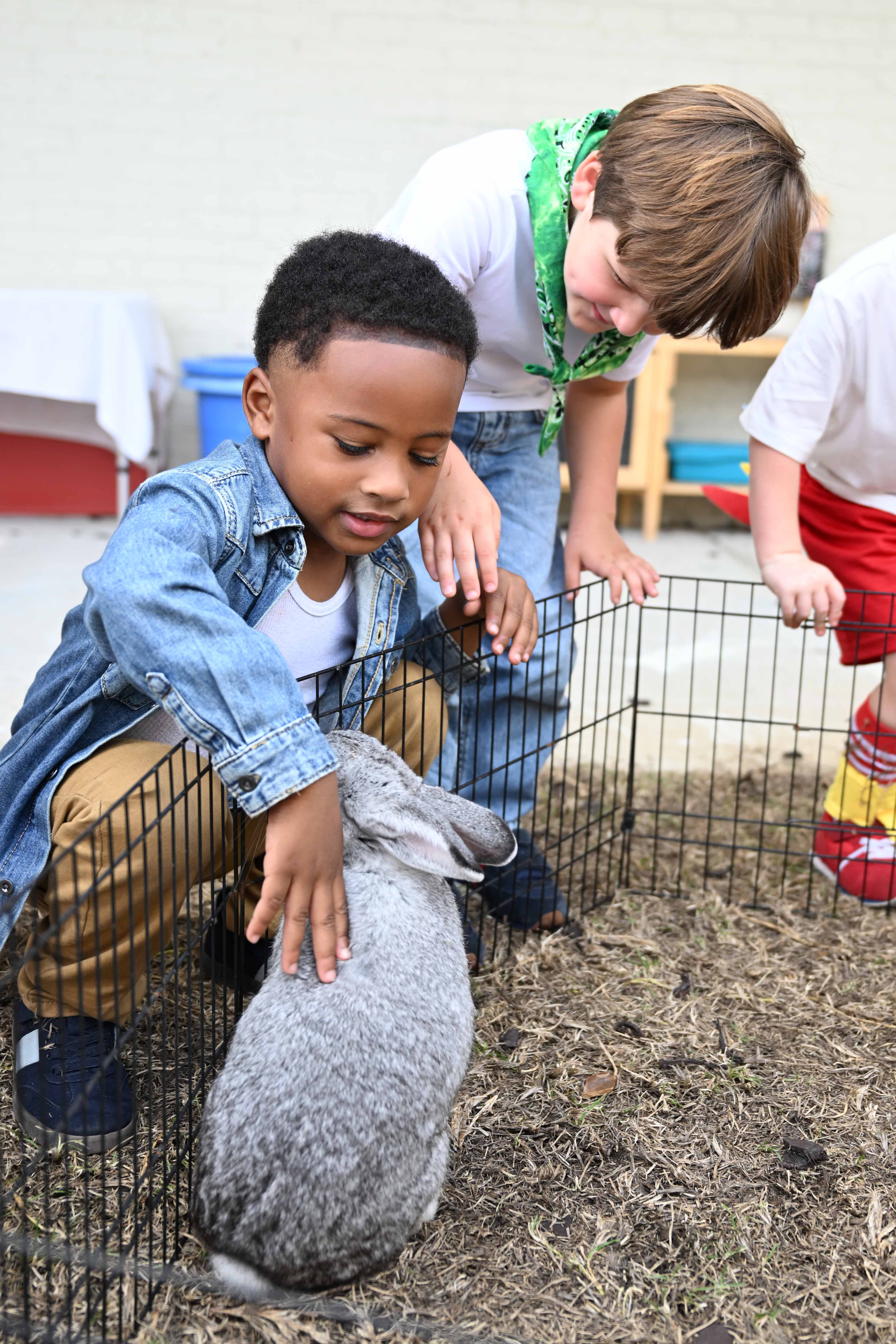 OriginalImage,,,Original