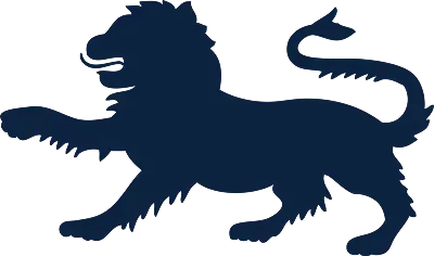  OptimizedImage,,,Optimized