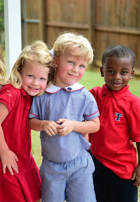 OptimizedImage,,,Optimized