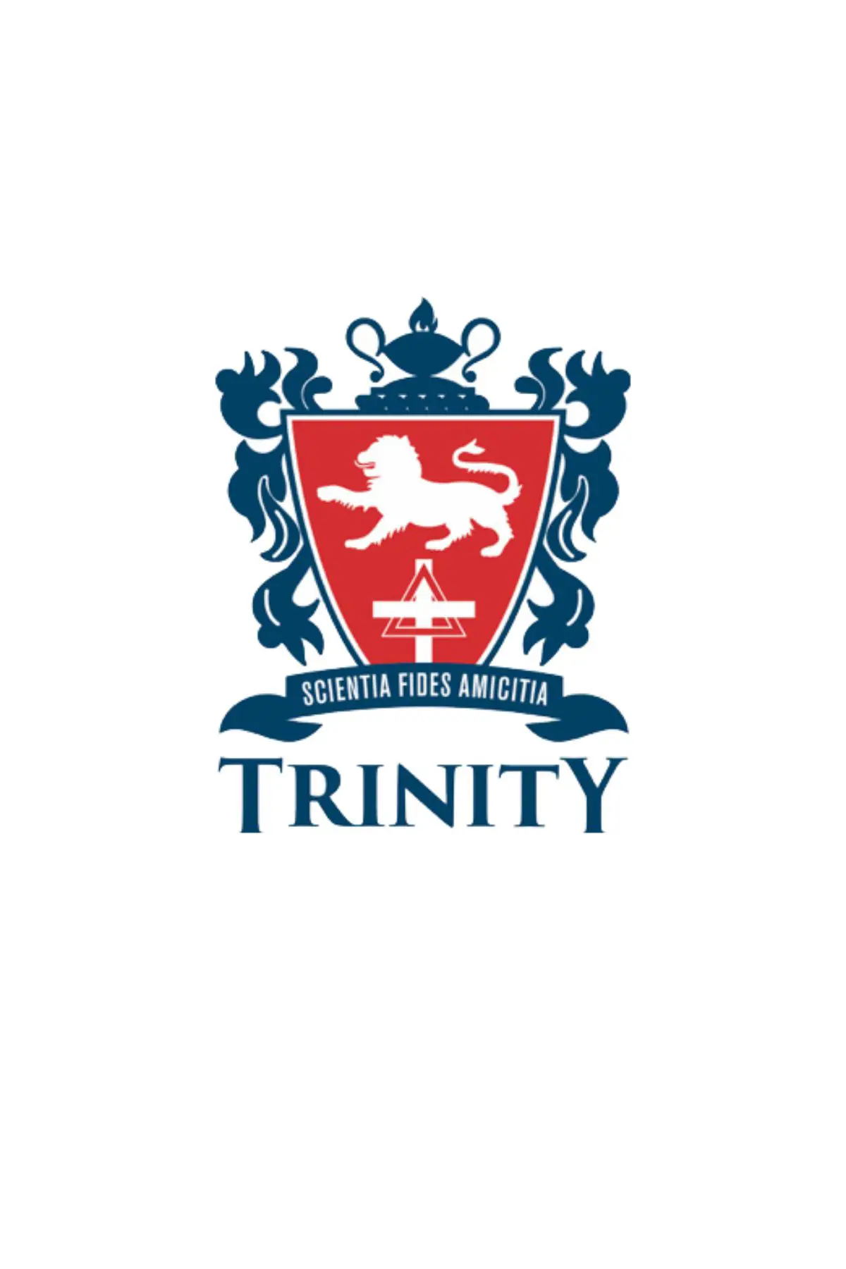  OptimizedImage,not pictured ,,Optimized