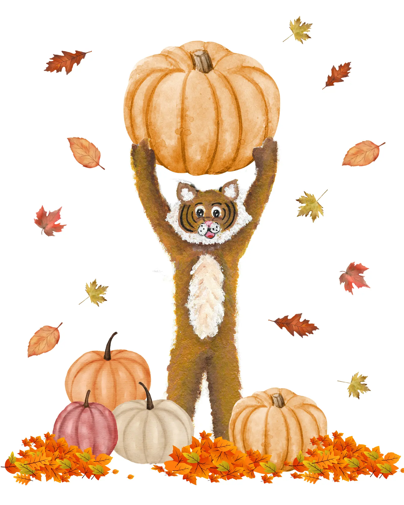  OptimizedImage,pumpkin wildcat,,Optimized